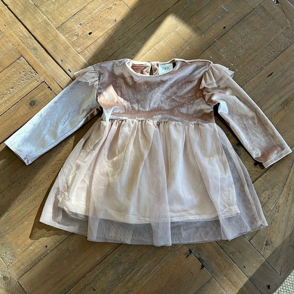 Zara rosy tan velour tulle dress